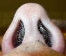 lurch sticht in der nase